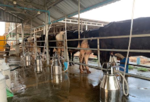 Techo Sen Russey Treb Park of Royal Academy of Cambodia景点图片