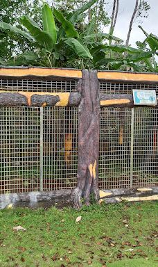 SAFARI LAGOI BINTAN-民丹岛