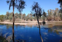 Oura River Camping景点图片