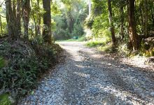 Currawong Campground景点图片