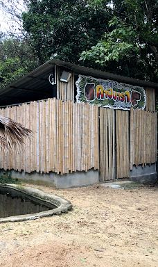 Seal and Penguin Park-宋卡