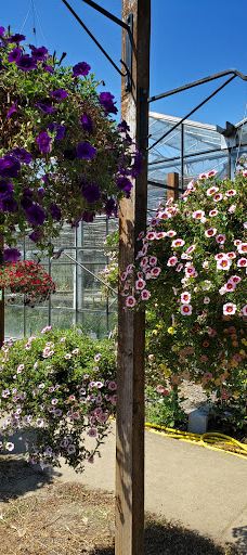 Davis Family Farm-本顿县