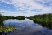 Monty's Bay Wildlife Management Area景点图片