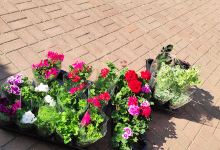 Przeds. Handlowo-Usługowe ROBINIA购物图片