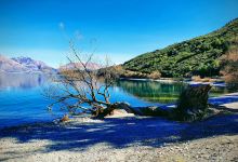 Wilson Bay Reserve景点图片