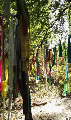 Museum MONREPOS-新维德