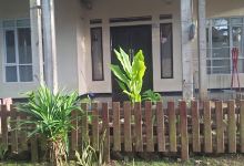 Ubud van banten景点图片