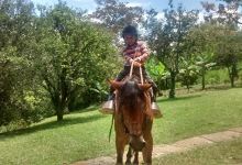 Finca El Mirador景点图片