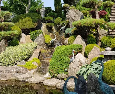 Den Japanske Have - Struer