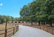Parco Avventura degli Alburni景点图片