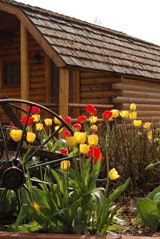 米苏拉KOA霍利迪-米苏拉