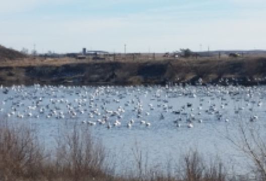 Deerfield Beach Campground景点图片