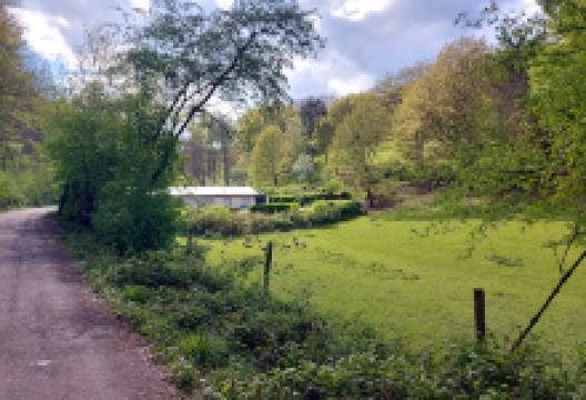 Wildpark Karlsbrunn景点图片