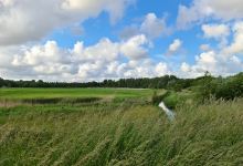 Geestmerambacht (Recreatiegebied)景点图片