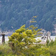 Port Marina Park-胡德里弗