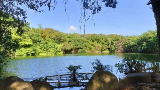 龍泉森林公園