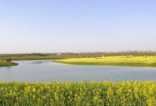 万亩花海景点图片