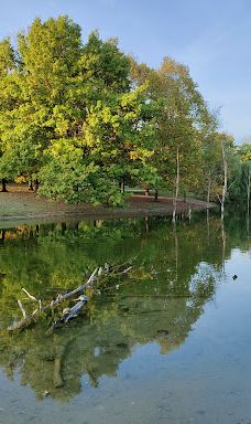 Parco della Pellerina-都灵