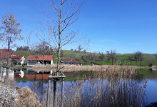 Mahlweiher Landscape Protection Area景点图片