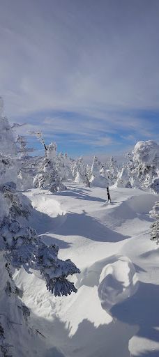 八甲田连峰树冰-青森
