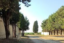 Cimitero Comunale景点图片