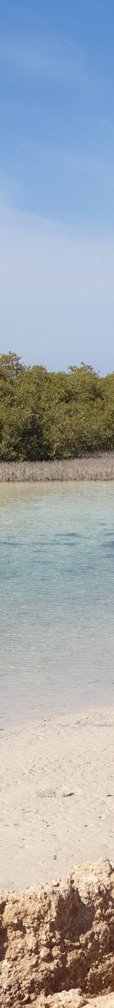 穆罕默德国家公园-Qesm Sharm Ash Sheikh