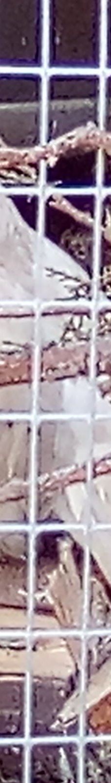 大熊湖动物园-大熊湖