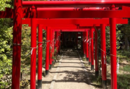 Ueno Park景点图片
