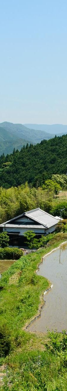 Kumano Kodo Kan Pilgrimage Center-田边市