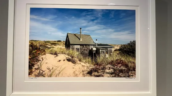Cape Cod Museum of Art