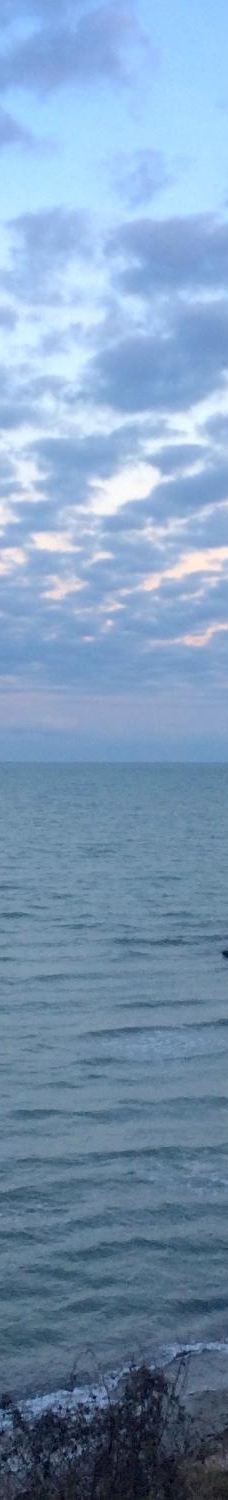 Cole Park-科珀斯克里斯蒂