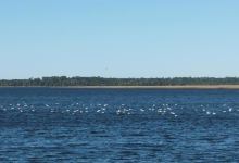 Grover Island景点图片