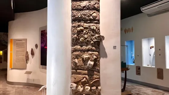 Museo de Antropologia e Historia de Baja California Sur