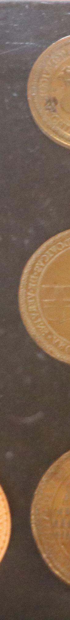 Narbonne Cathedral-纳巴达