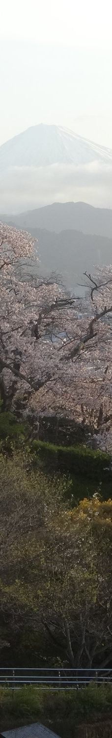 清水船越堤公園-静冈