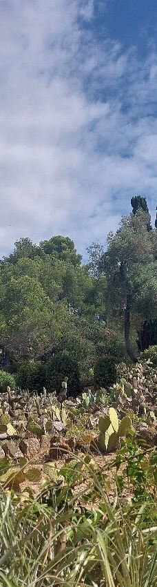 Jardí Botànic Tropical Paratge Pinya de Rosa-布拉内斯