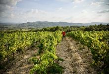 S.C.E.A Du Domaine Saint Vincent景点图片