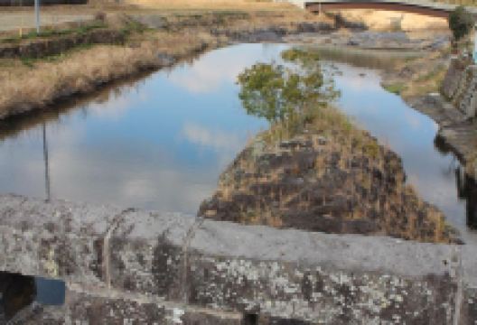 Sumiyoshi Bridge景点图片