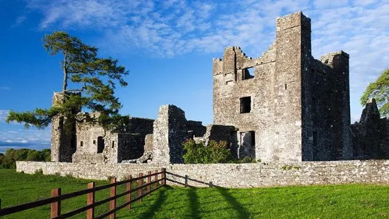 Bective Abbey