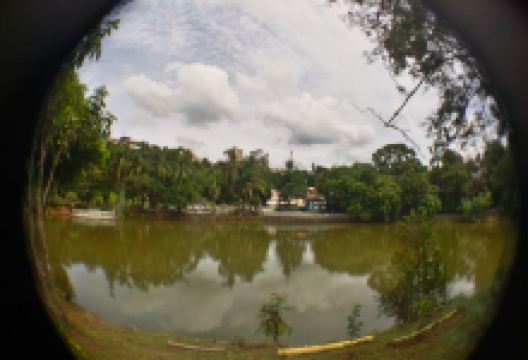 Parque Municipal Novo Horizonte景点图片