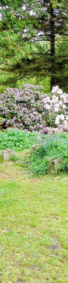 Alter Botanischer Garten-基尔