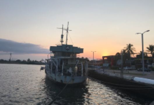 Plaza Banderas景点图片