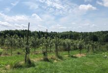 Orchard Ridge Farm景点图片