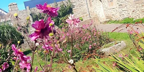 Plage des Blancs Sablons