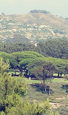 Doris Walker Overlook-达纳点