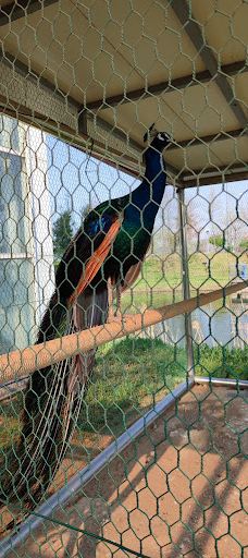 Asan Ecological Environment Insect Museum-牙山市