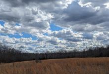 Compton Hollow Conservation Area景点图片