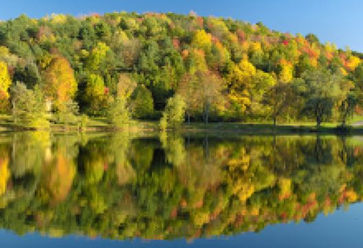 Lake Glory Campground景点图片