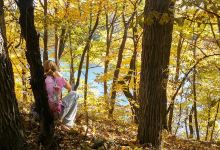 Stanley Eddy Regional Park - North Unit景点图片