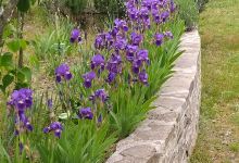 Chemin de Charpenay ou chemin des Seigneurs景点图片